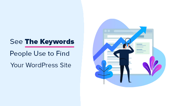 Find the discount code for WPVivid plugins on your WordPress site with Planethoster's keyword analysis.