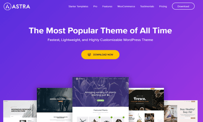 Astra - the most popular WordPress theme with a wpvivid discount code.