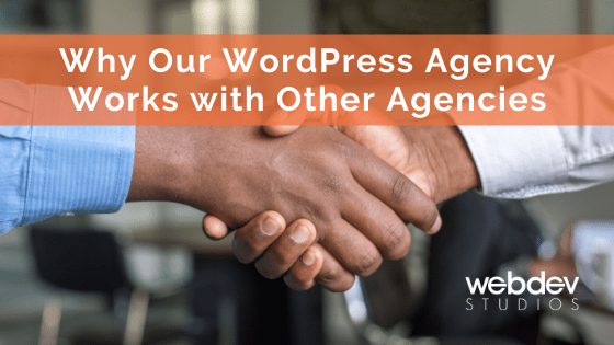 Why our WordPress agency partners with other agencies to offer discounted services using the wpvivid discount code.