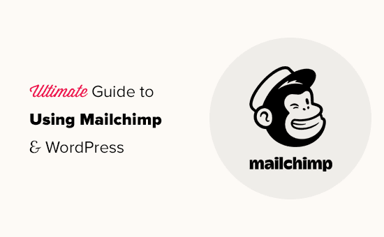 Learn how to optimize email marketing campaigns with Mailchimp and WordPress plugin WPvivid, and get a discount code for your next purchase.