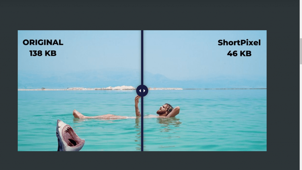 Shortpixel Adaptive Image Review 2022: A Best Compressor Plugin For WordPress